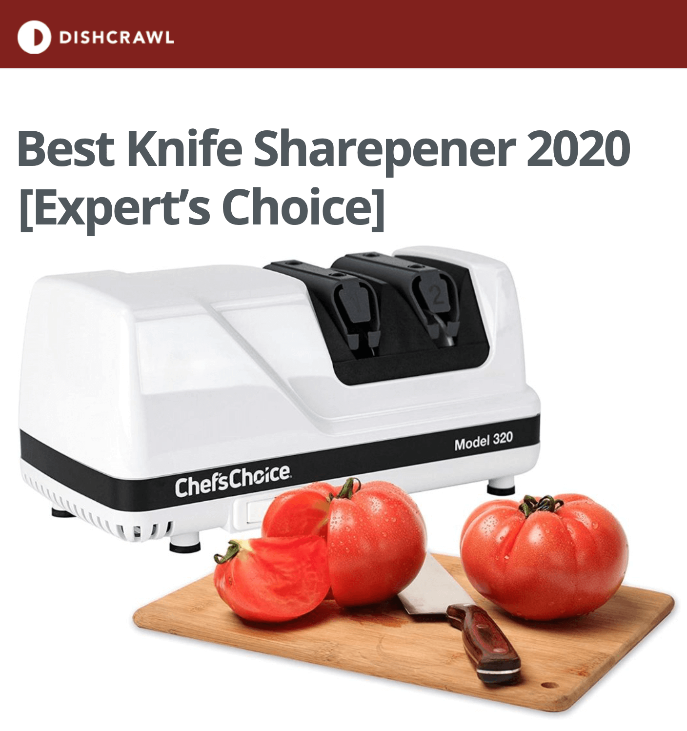 dishcrawl.com's knife sharpener guide